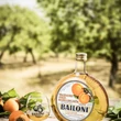 Kép 2/3 - Bailoni Sárgabarack likőr (0,7L / 30%)